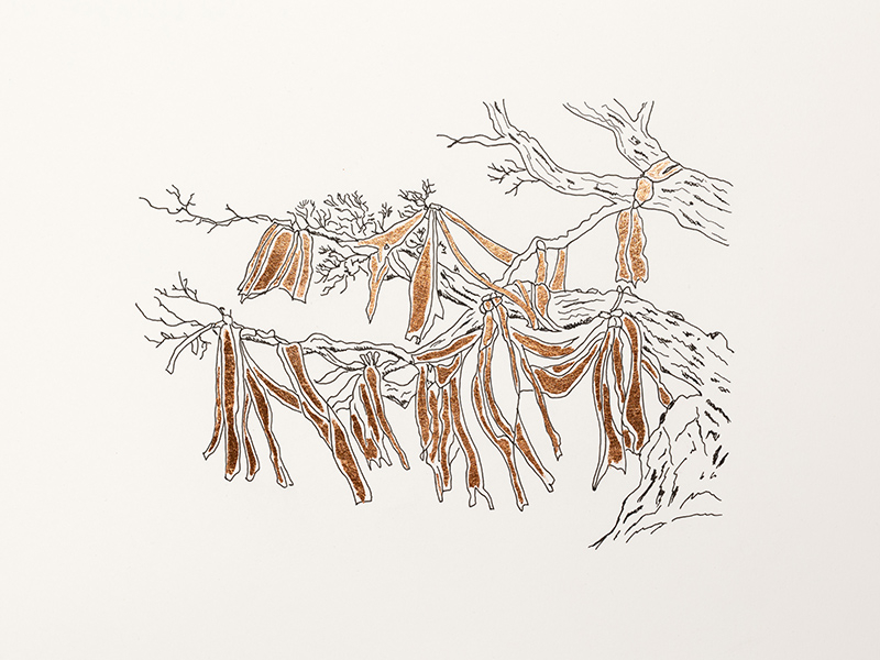 https://www.dobiszewski.com/files/gimgs/th-83_Myths_of_Cyprus_Terebinth_tree__Wishing_tree.jpg