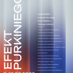 https://www.dobiszewski.com/files/gimgs/th-10_efekt_purkiniego.jpg
